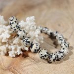 jaspe dalmatien